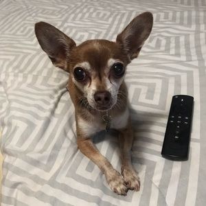 Meet your Posher, Rachel